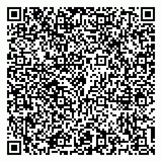 vCard 79100310401