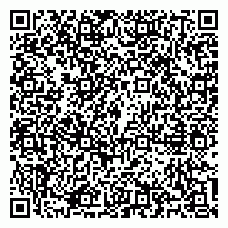 vCard 79100310403