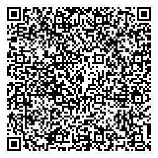 vCard 79100310408