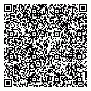 vCard 79100310411