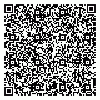 vCard 79100310413