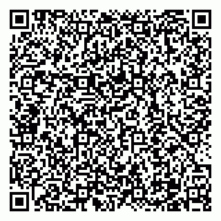 vCard 79100310418