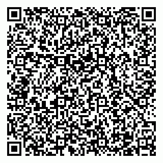 vCard 79100310419