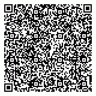 vCard 79100310420