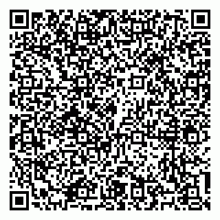 vCard 79100310421