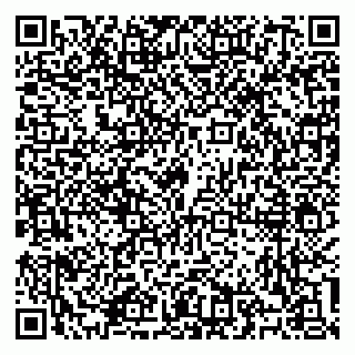 vCard 79100310428