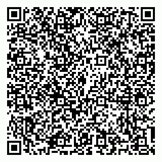 vCard 79100310429