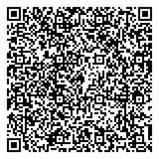 vCard 79100310433