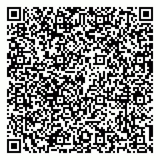 vCard 79100310435