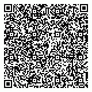 vCard 79100310438