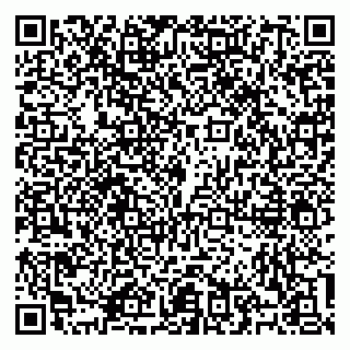 vCard 79100310446
