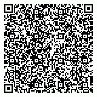 vCard 79100310447