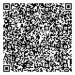 vCard 79100310461
