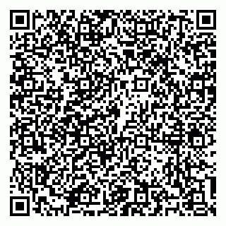 vCard 79100310477