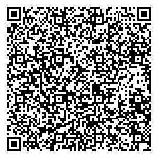 vCard 79100310478