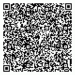 vCard 79100310480