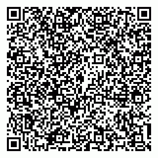 vCard 79100310481
