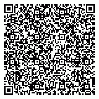 vCard 79100310485