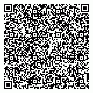 vCard 79100310494