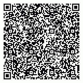 vCard 79100310495