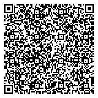 vCard 79100310498