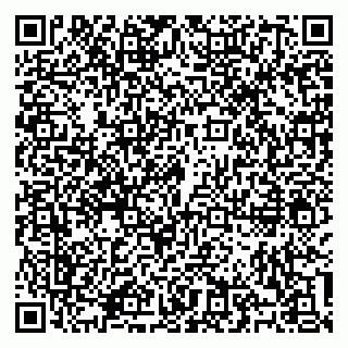 vCard 79100310499