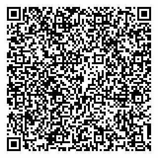 vCard 79100310500