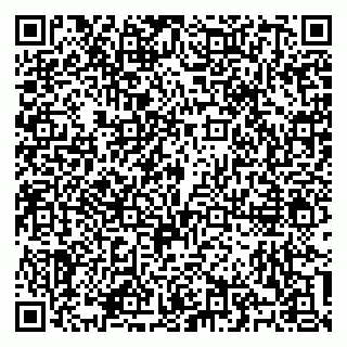 vCard 79100310503