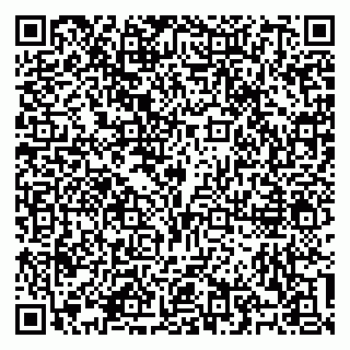 vCard 79100310506