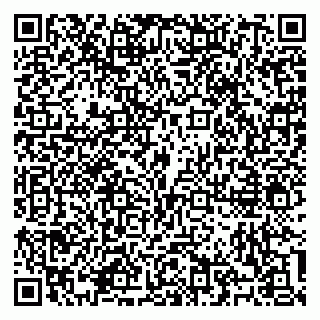 vCard 79100310507