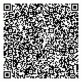 vCard 79100310508