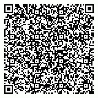 vCard 79100310509
