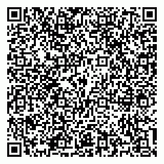vCard 79100310511