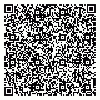 vCard 79100310513
