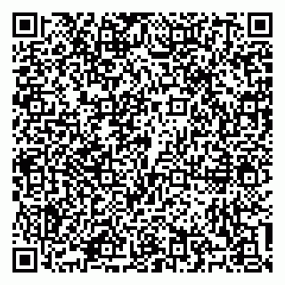 vCard 79100310514