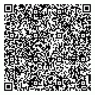 vCard 79100310515