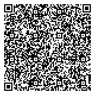 vCard 79100310517
