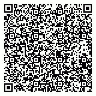 vCard 79100310518