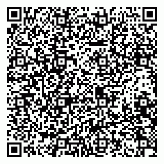 vCard 79100310520