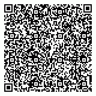 vCard 79100310521