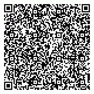 vCard 79100310522