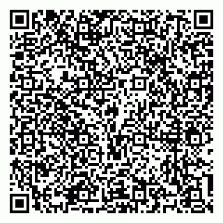 vCard 79100310523