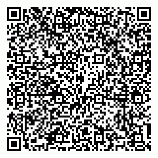 vCard 79100310524