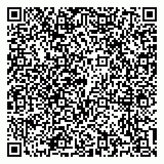 vCard 79100310525