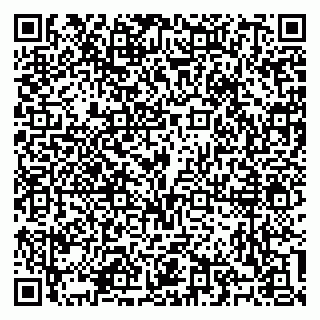 vCard 79100310526
