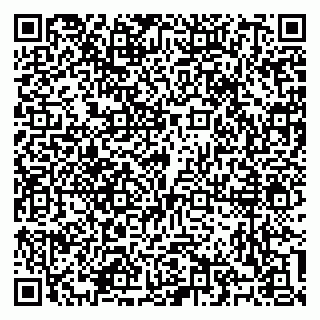 vCard 79100310527