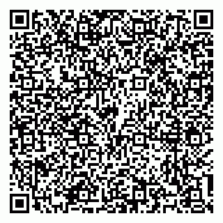 vCard 79100310528