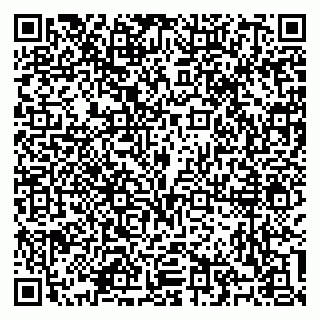 vCard 79100310529