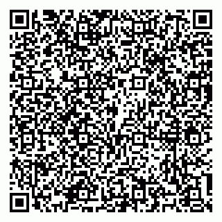 vCard 79100310530