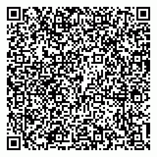 vCard 79100310531